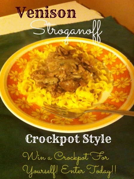 Venison Stroganoff Recipe