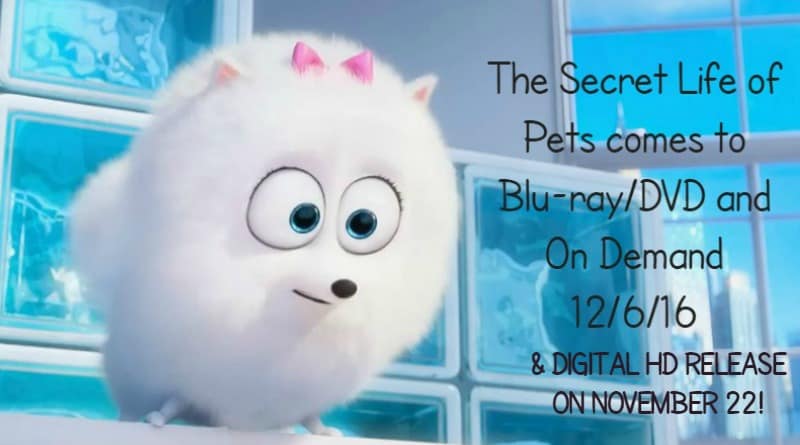 The Secret Life of Pets download the last version for mac