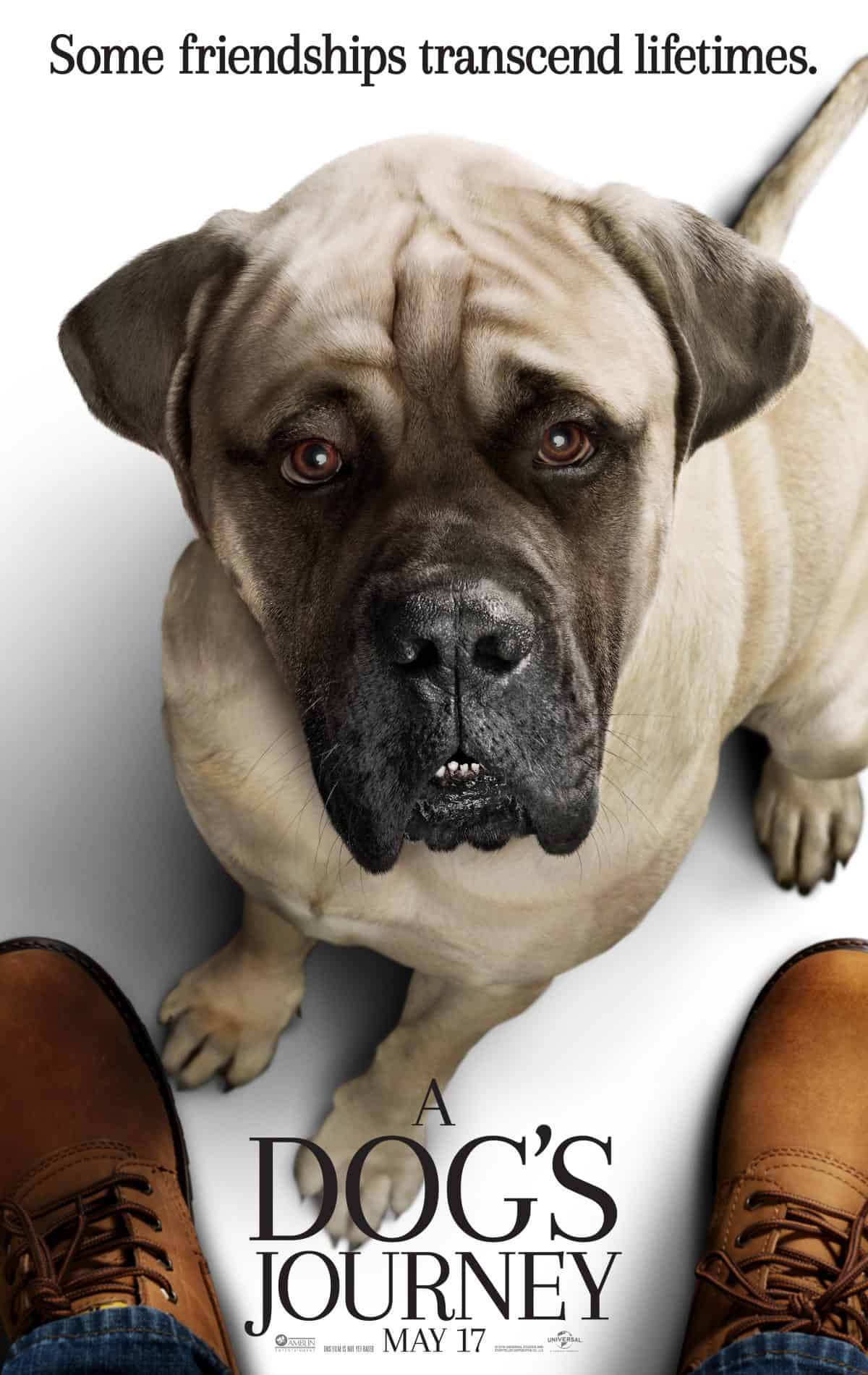 A Dog’s Journey | Watch the Trailer