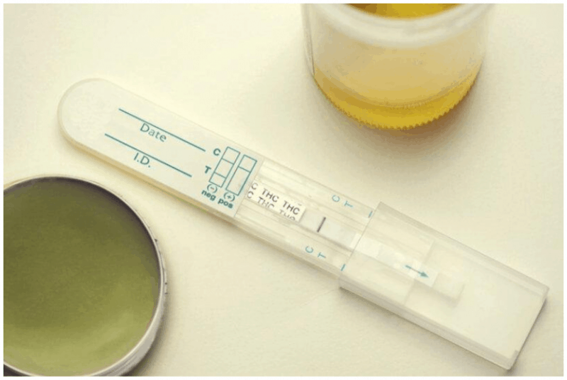 Best Home Drug Test Reviews_ Tips on how you can pass a drug test