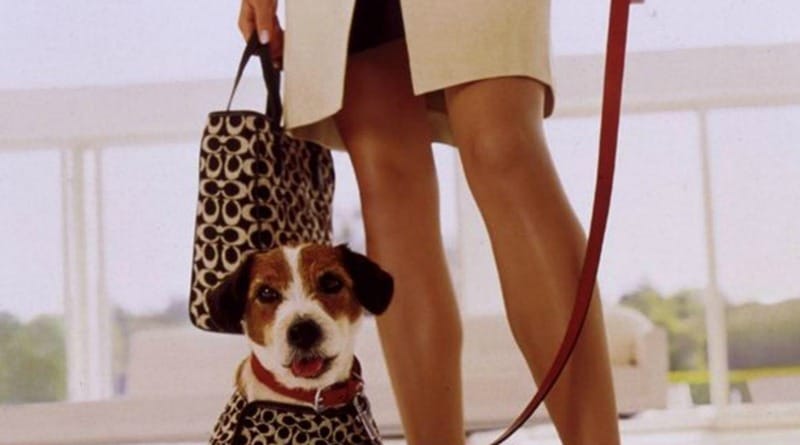 5 Ways to Match Your Style with Your Dog