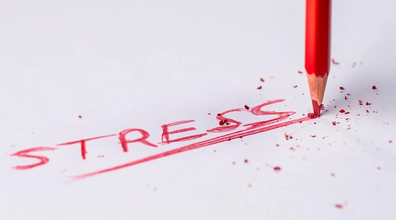 Entrepreneurship Stress Can Get Too Real
