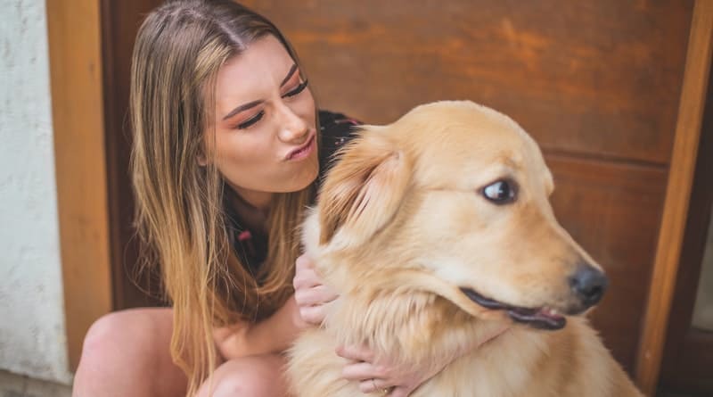 Tips to Get the Best Vacuum Cleaner to Clean up for your pets