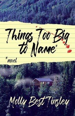 Things Too Big To Name by Molly Best Tinsley Giveaway and Review
