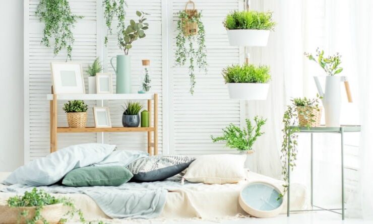 Green Thumb: 7 Ways Easy Care Indoor Plants Brighten Up a Room