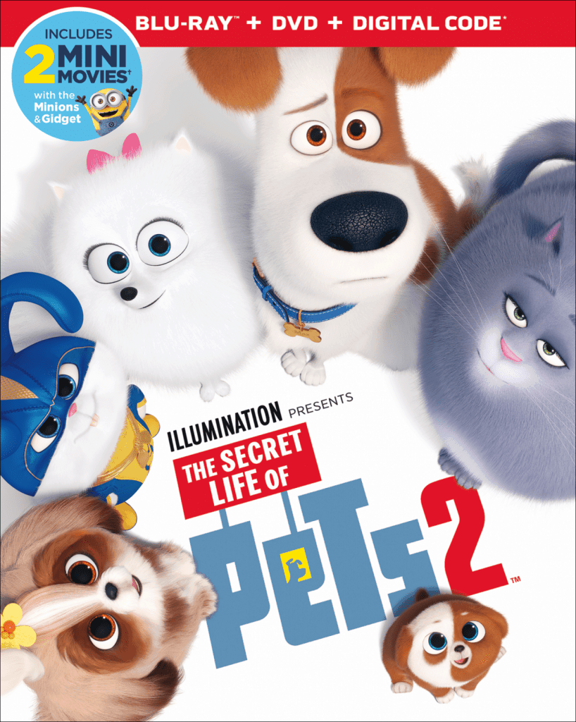 Secret Life of Pets 2 is Out! plus Fun Activity