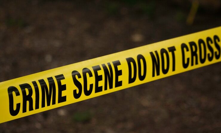 Crimes