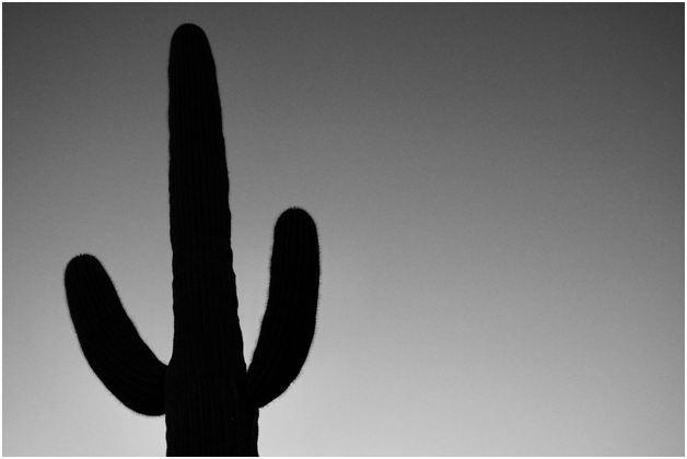 tucson