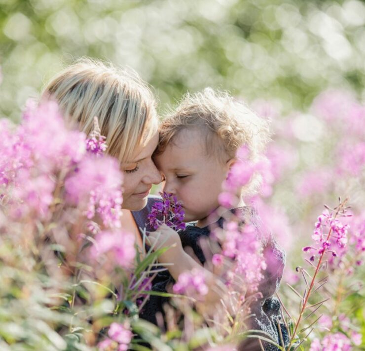 5 best mothers day gifts for a plant lover