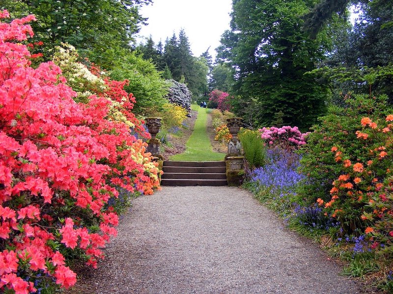 Natural Landscape Design And Its Advantages