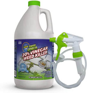 Green Gobbler Vinegar Weed Killer