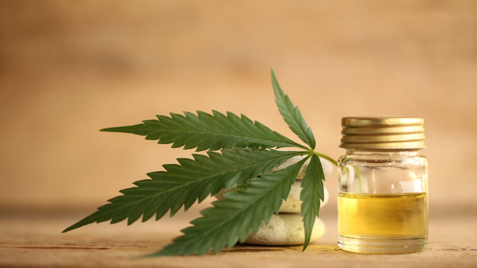 Can CBD Be Taken Along With Blood Thinners?