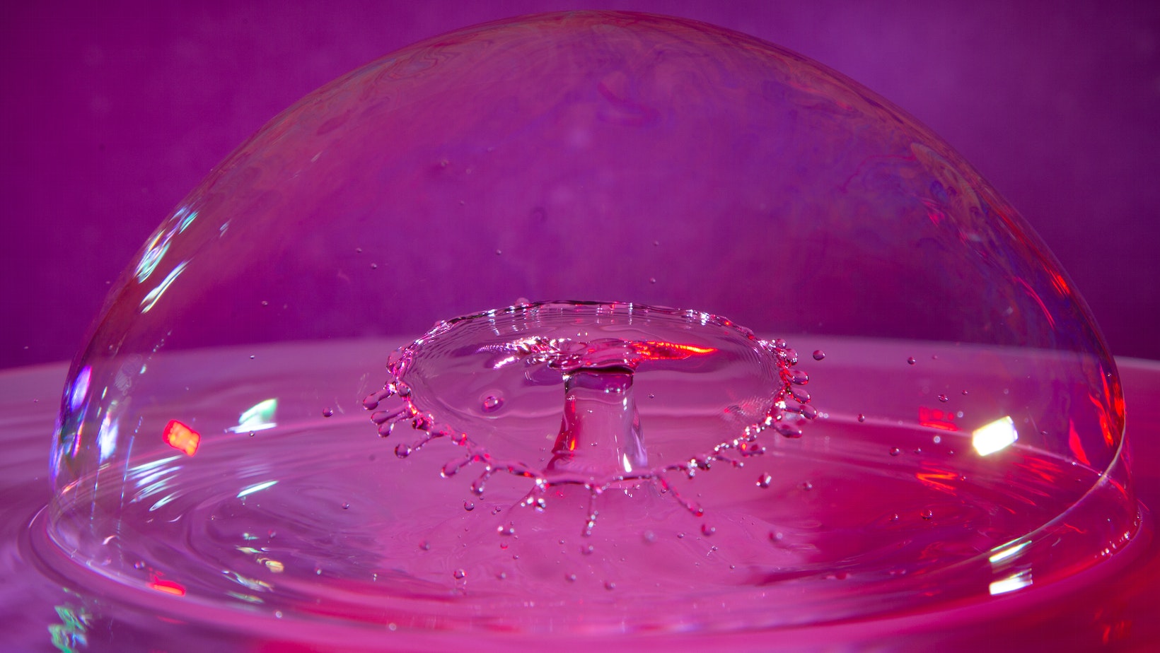 purple shampoo on natural hair