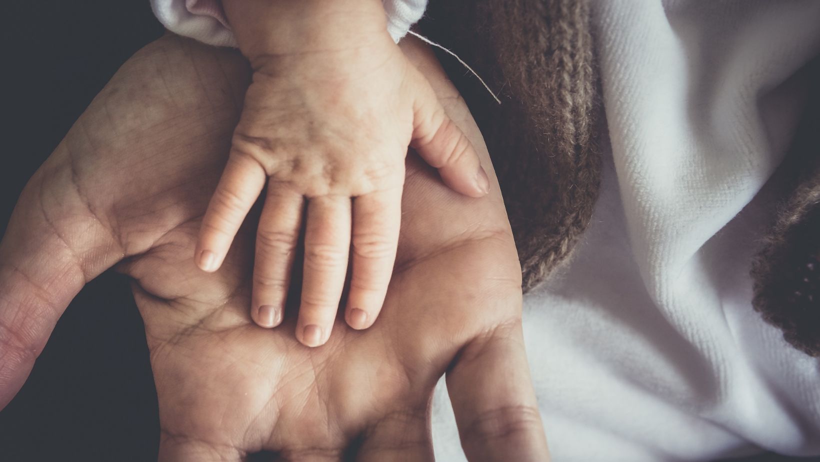 frases para padres que no valoran a sus hijos