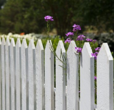 Wood privacy fence under a blue Texas sky