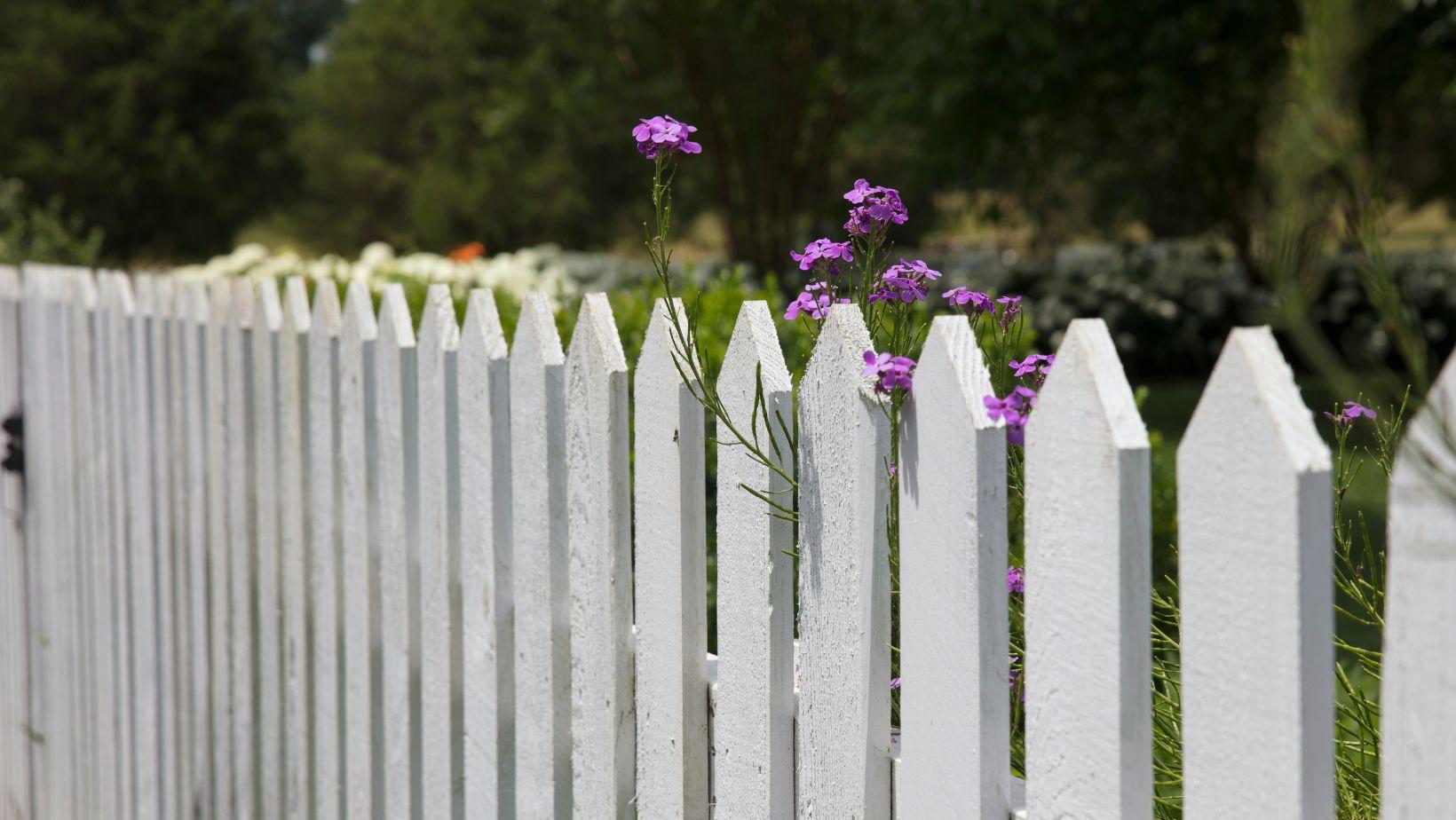 Wood privacy fence under a blue Texas sky