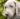 Incredibly amazing puppy training tips that will leave you speechless
