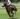 Beautiful Betting. A Lady’s Guide to Aintree