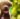 Pet Shop Prowess - Preparing to be a First-Time Pet Owner