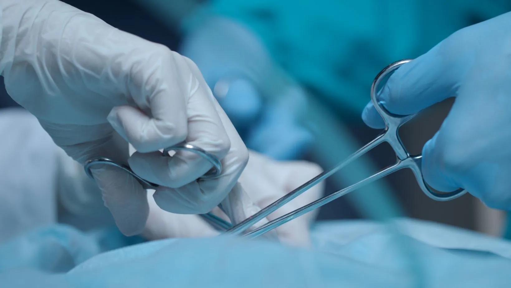 vascularhealthclinics.net deneme bonusu
